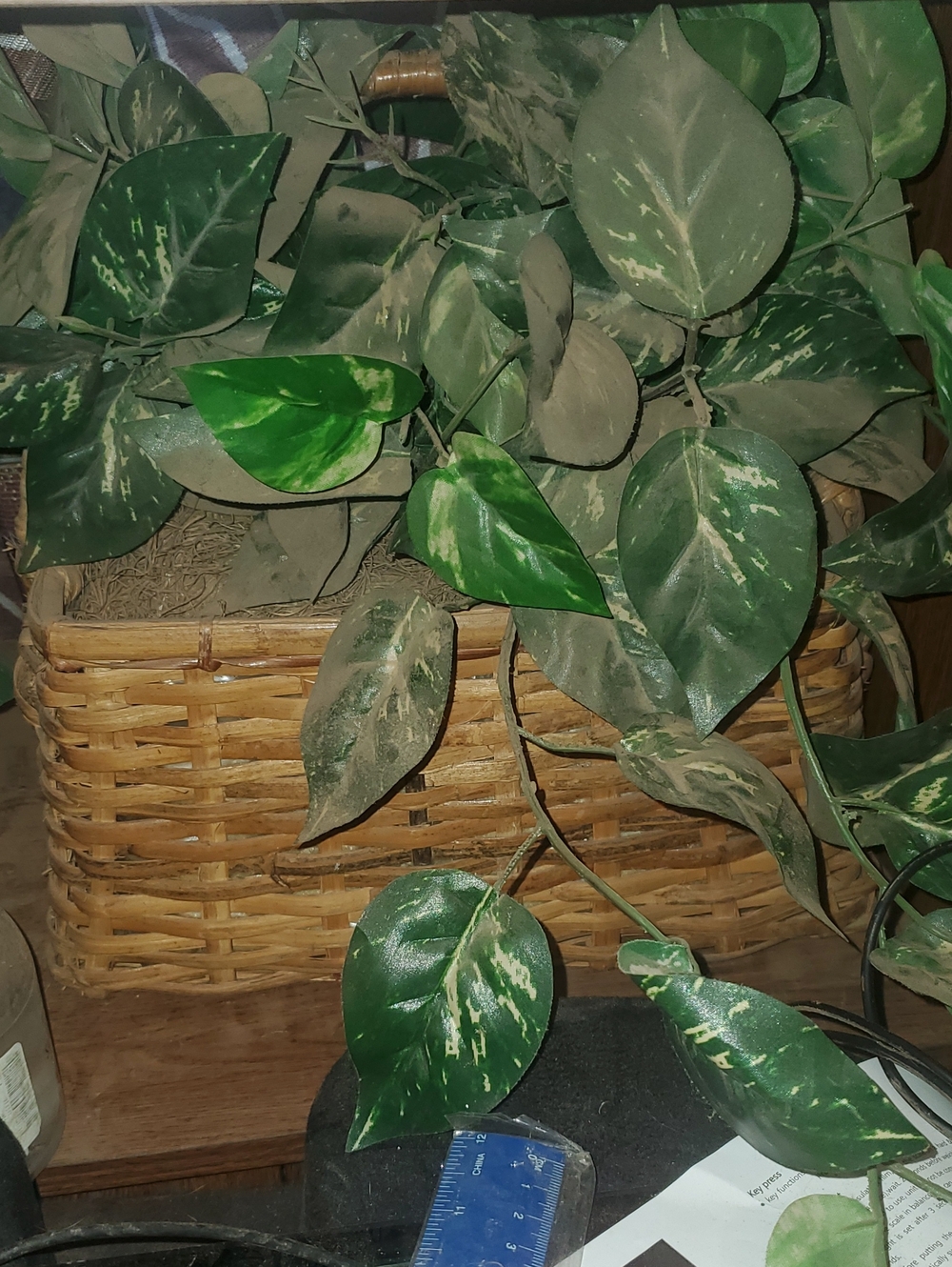 Faux Pothos Vine in Woven Basket - Green Variegated Leaves